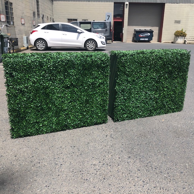 GREENERY, Box Hedge 100cm W x 80cm H